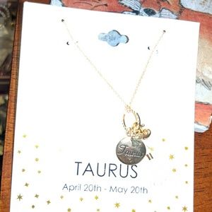 Adorable Astrological Taurus Charm Necklace